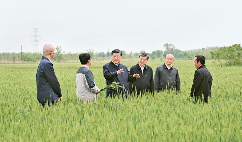 2023年5月11日至12日，中共中央總書(shū)記、國(guó)家主席、中央軍委主席習(xí)近平在河北考察，并主持召開(kāi)深入推進(jìn)京津冀協(xié)同發(fā)展座談會(huì)。這是11日上午，習(xí)近平在滄州市黃驊市舊城鎮(zhèn)仙莊片區(qū)旱堿地麥田考察時(shí)，同種植戶、農(nóng)技專家親切交流。 新華社記者 李學(xué)仁/攝